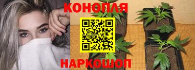 индика Конаково