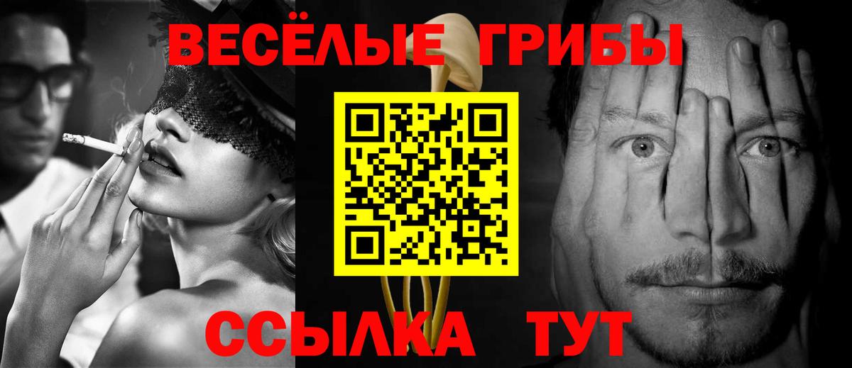 Псилоцибиновые грибы прущие грибы Добрянка